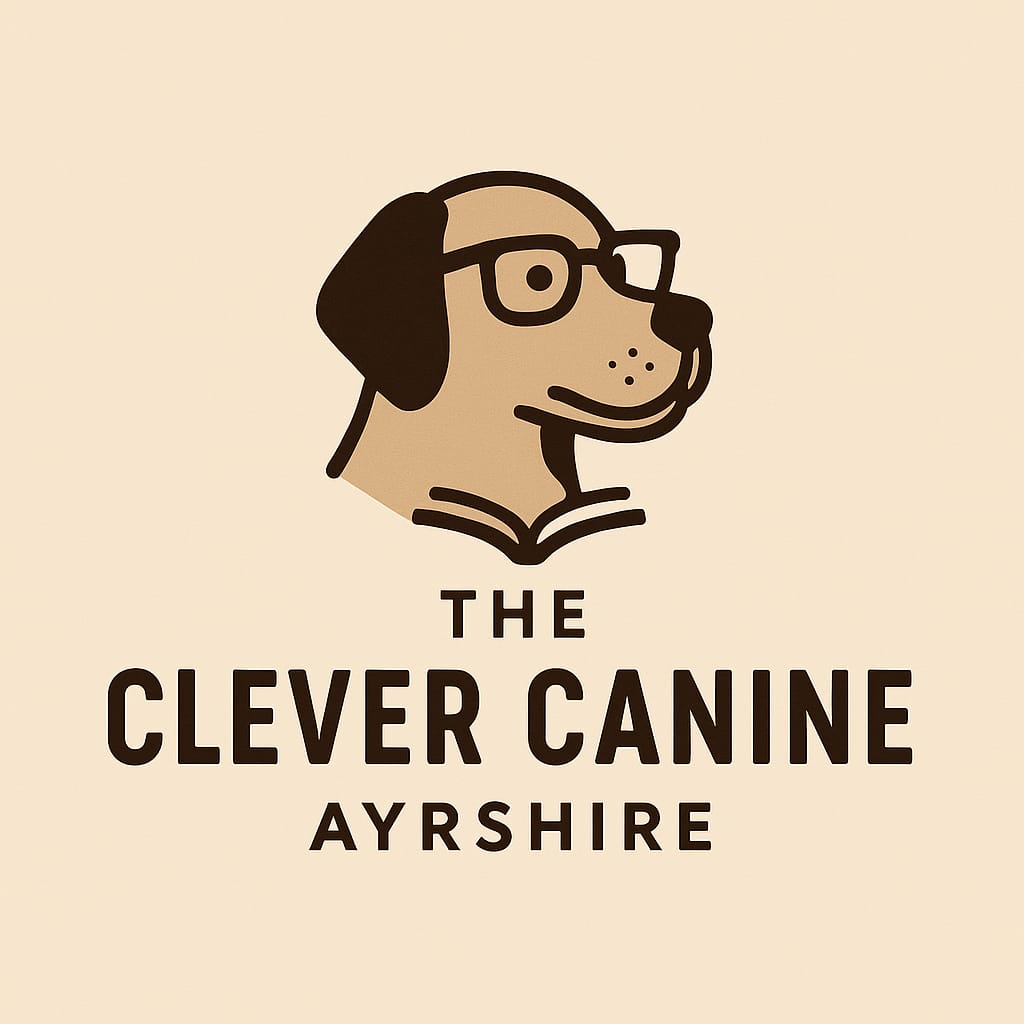 Looking for a kind, experienced dog trainer in Ayrshire? The Clever Canine offers puppy classes, 1:1 support, toddler & dog safety, and reactivity training in Irvine, Kilwinning, and surrounding areas.